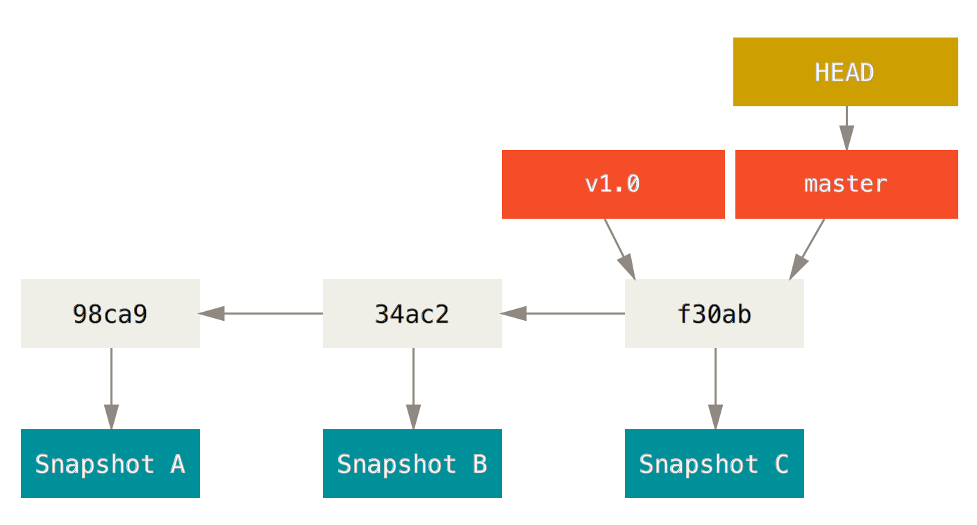 The commit history of a branch with its branch pointers.