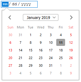 Date picker on Firefox.